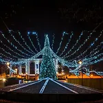 Home- Pesterzsébet Budapest