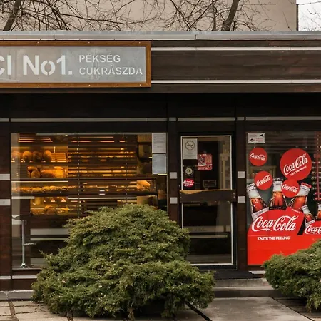 Home- Pesterzsebet 아파트