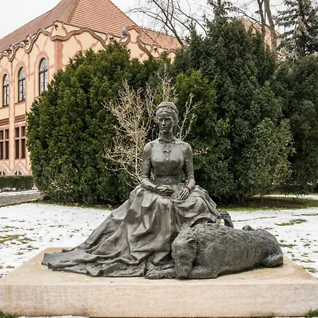 Home- Pesterzsebet * Budapešť